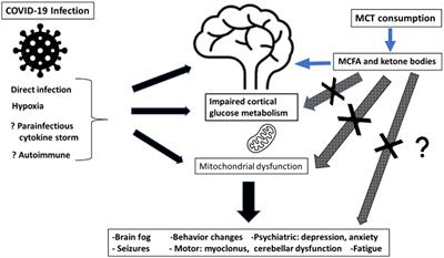 Refueling the post COVID-19 brain: potential role of ketogenic medium chain triglyceride supplementation: an hypothesis
